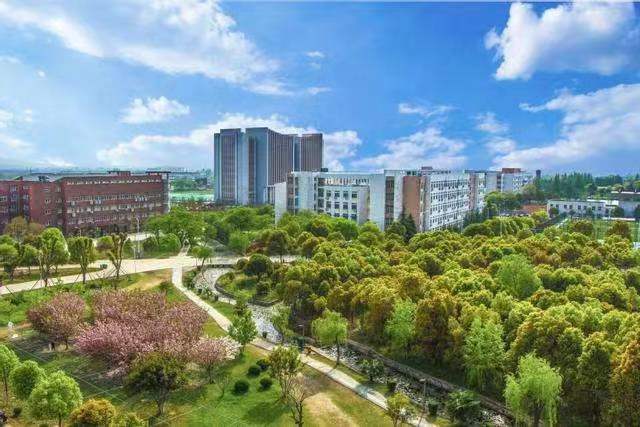 巢湖学院2021年DNS设备采购项目.jpg